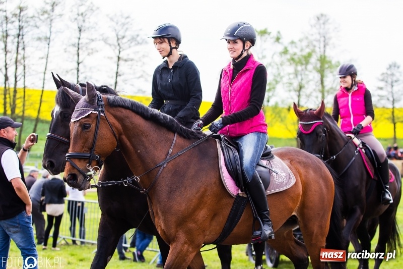 Zdjęcie w galerii na portalu naszraciborz.pl: Wiosenny korowód konny w gminie Pietrowice Wielkie [FOTO i WIDEO] wiadomości z regionu