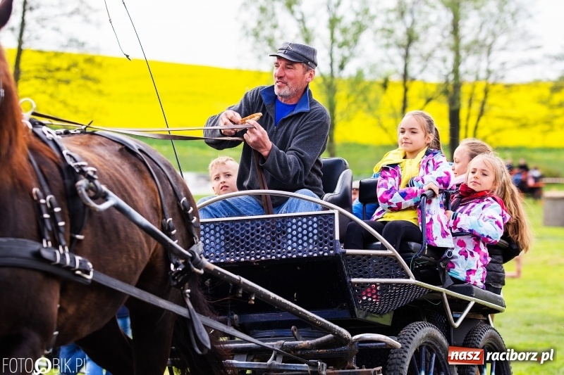 Zdjęcie w galerii na portalu naszraciborz.pl: Wiosenny korowód konny w gminie Pietrowice Wielkie [FOTO i WIDEO] wiadomości z regionu