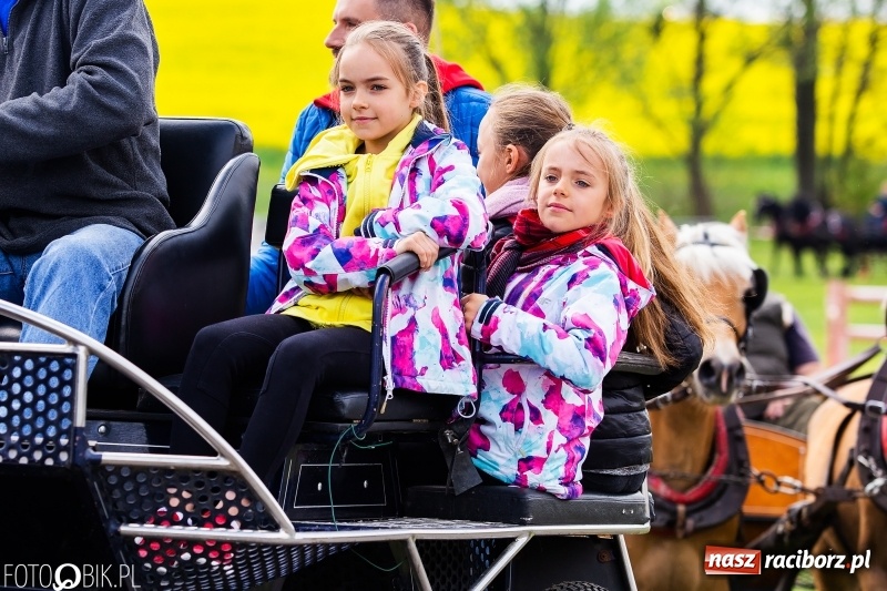 Zdjęcie w galerii na portalu naszraciborz.pl: Wiosenny korowód konny w gminie Pietrowice Wielkie [FOTO i WIDEO] wiadomości z regionu