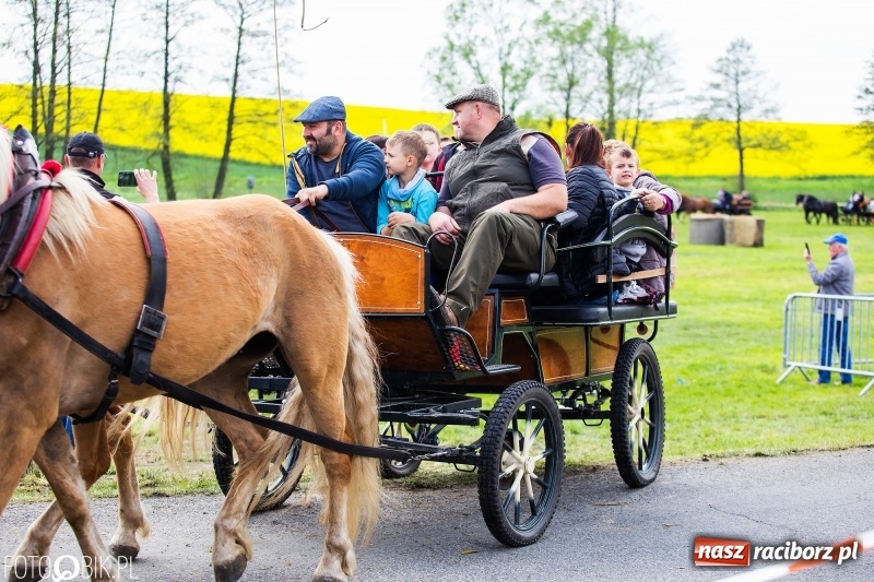 Zdjęcie w galerii na portalu naszraciborz.pl: Wiosenny korowód konny w gminie Pietrowice Wielkie [FOTO i WIDEO] wiadomości z regionu