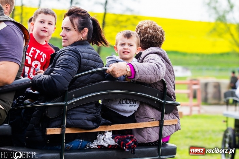 Zdjęcie w galerii na portalu naszraciborz.pl: Wiosenny korowód konny w gminie Pietrowice Wielkie [FOTO i WIDEO] wiadomości z regionu