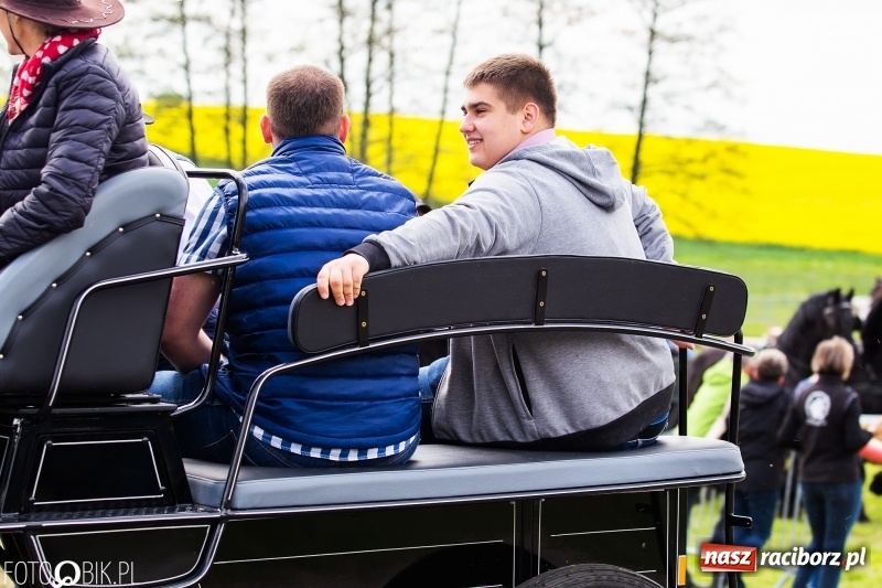 Zdjęcie w galerii na portalu naszraciborz.pl: Wiosenny korowód konny w gminie Pietrowice Wielkie [FOTO i WIDEO] wiadomości z regionu