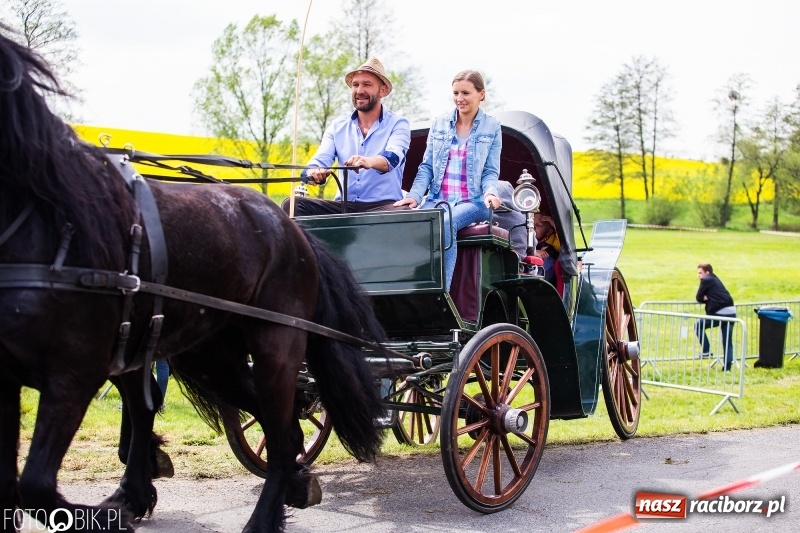 Zdjęcie w galerii na portalu naszraciborz.pl: Wiosenny korowód konny w gminie Pietrowice Wielkie [FOTO i WIDEO] wiadomości z regionu
