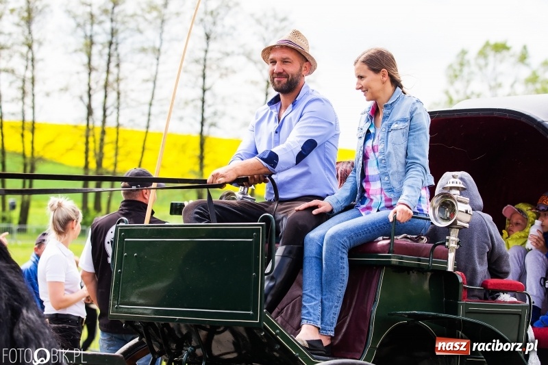 Zdjęcie w galerii na portalu naszraciborz.pl: Wiosenny korowód konny w gminie Pietrowice Wielkie [FOTO i WIDEO] wiadomości z regionu