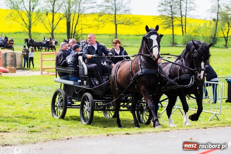 Zdjęcie w galerii na portalu naszraciborz.pl: Wiosenny korowód konny w gminie Pietrowice Wielkie [FOTO i WIDEO] wiadomości z regionu