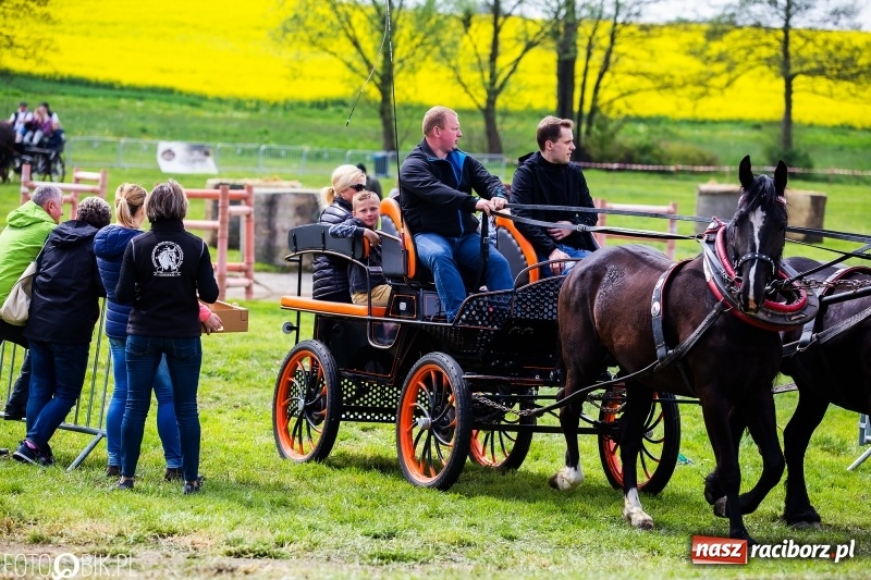 Zdjęcie w galerii na portalu naszraciborz.pl: Wiosenny korowód konny w gminie Pietrowice Wielkie [FOTO i WIDEO] wiadomości z regionu