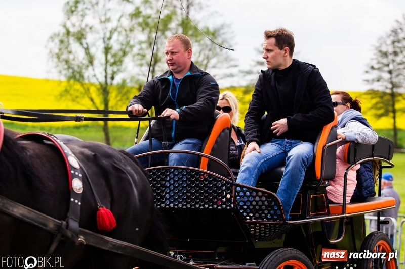 Zdjęcie w galerii na portalu naszraciborz.pl: Wiosenny korowód konny w gminie Pietrowice Wielkie [FOTO i WIDEO] wiadomości z regionu