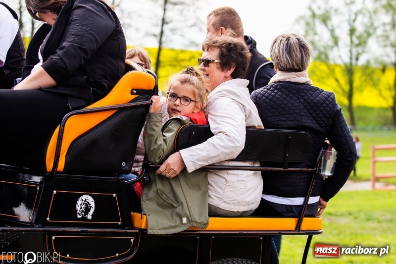 Zdjęcie w galerii na portalu naszraciborz.pl: Wiosenny korowód konny w gminie Pietrowice Wielkie [FOTO i WIDEO] wiadomości z regionu