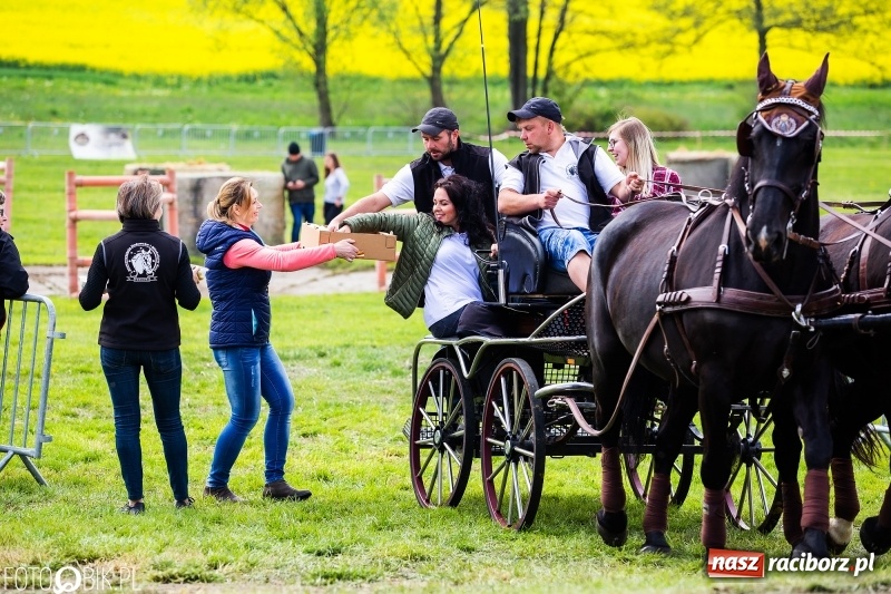 Zdjęcie w galerii na portalu naszraciborz.pl: Wiosenny korowód konny w gminie Pietrowice Wielkie [FOTO i WIDEO] wiadomości z regionu