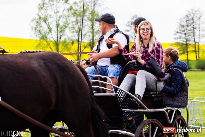 Zdjęcie w galerii na portalu naszraciborz.pl: Wiosenny korowód konny w gminie Pietrowice Wielkie [FOTO i WIDEO] wiadomości z regionu