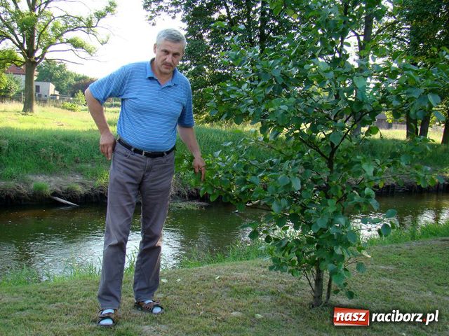 Zdjęcie w galerii na portalu naszraciborz.pl: Wrona: nie atakowałem kajakarzy! wiadomości z regionu