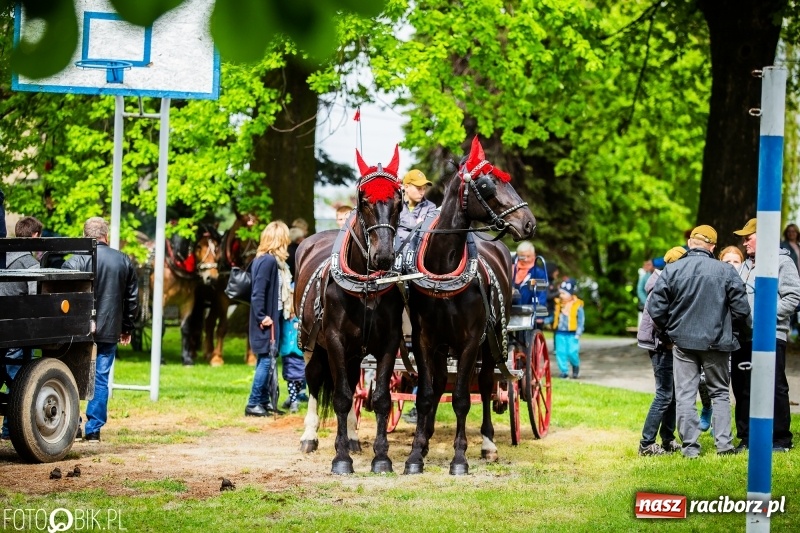 Zdjęcie w galerii na portalu naszraciborz.pl: Konna procesja ku czci św. Floriana w Pogrzebieniu  wiadomości z regionu