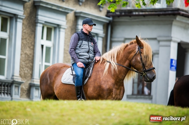 Zdjęcie w galerii na portalu naszraciborz.pl: Konna procesja ku czci św. Floriana w Pogrzebieniu  wiadomości z regionu
