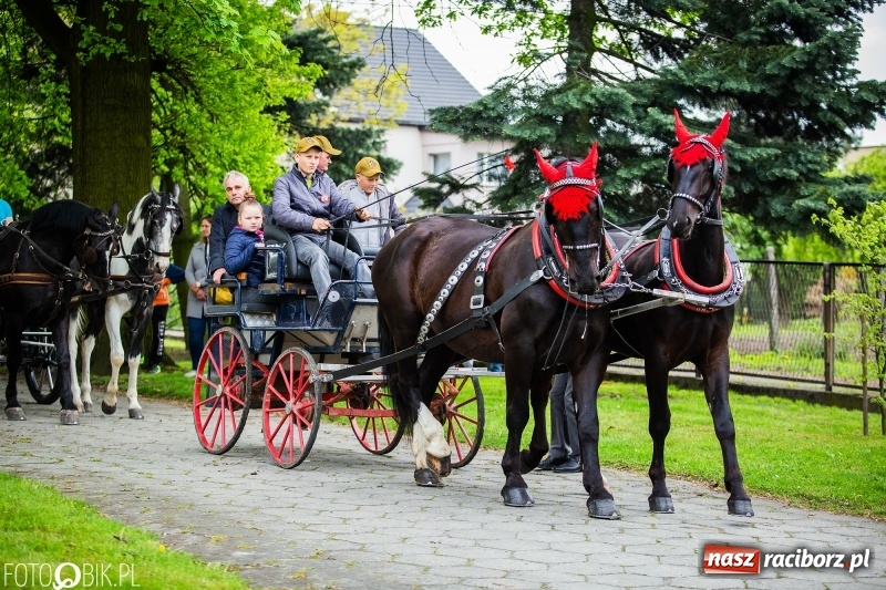 Zdjęcie w galerii na portalu naszraciborz.pl: Konna procesja ku czci św. Floriana w Pogrzebieniu  wiadomości z regionu