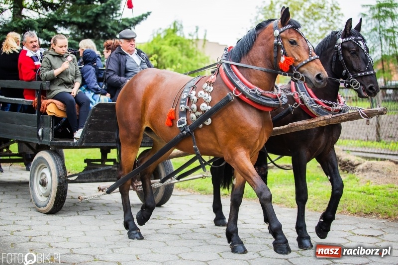 Zdjęcie w galerii na portalu naszraciborz.pl: Konna procesja ku czci św. Floriana w Pogrzebieniu  wiadomości z regionu