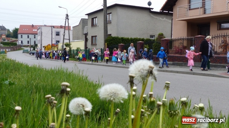 Zdjęcie w galerii na portalu naszraciborz.pl: Parada bajkowych postaci przemaszerowała ulicami Brzezia  wiadomości z regionu