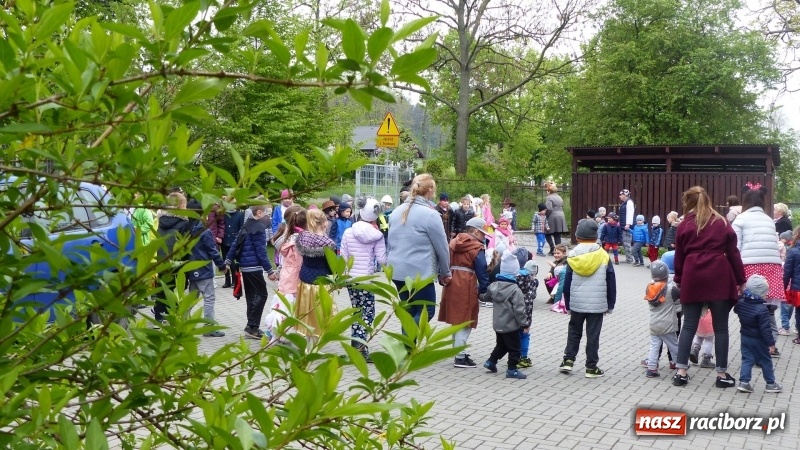 Zdjęcie w galerii na portalu naszraciborz.pl: Parada bajkowych postaci przemaszerowała ulicami Brzezia  wiadomości z regionu