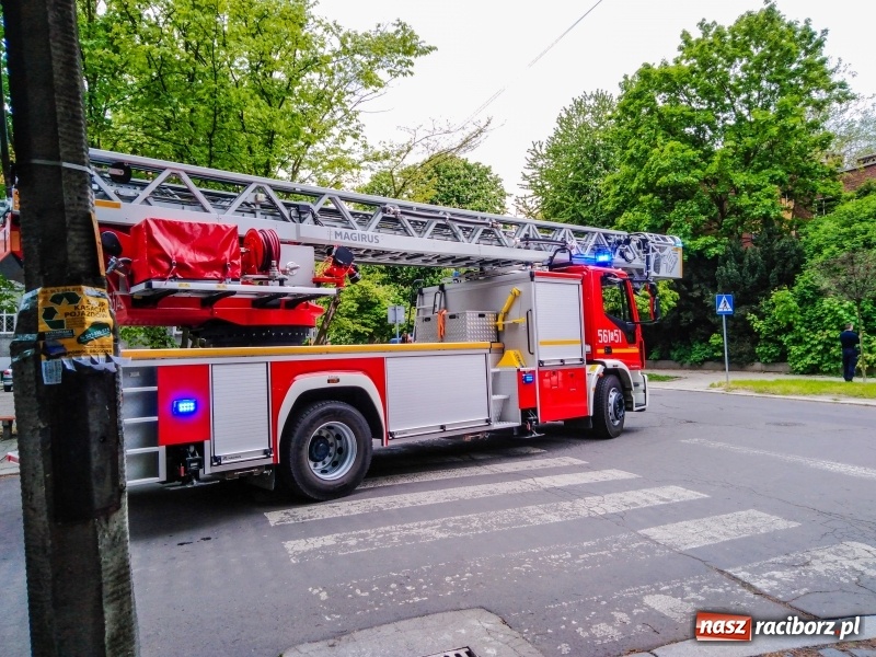 Zdjęcie w galerii na portalu naszraciborz.pl: Podpalenie w starym szpitalu przy ul. Bema [FOTO] wiadomości z regionu