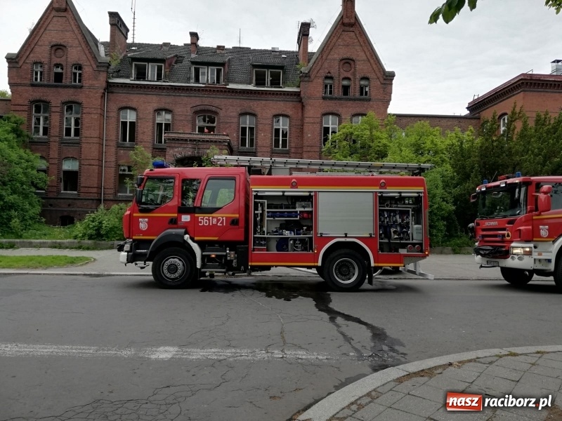 Zdjęcie w galerii na portalu naszraciborz.pl: Podpalenie w starym szpitalu przy ul. Bema [FOTO] wiadomości z regionu