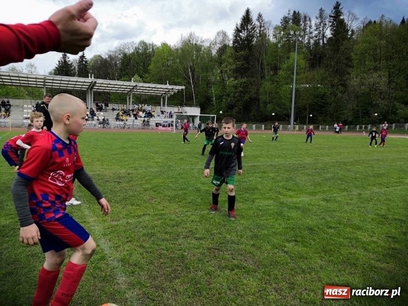 Zdjęcie w galerii na portalu naszraciborz.pl: Czwarte miejsce żaków Tworkowa na turnieju w Wiśle [FOTO] wiadomości z regionu