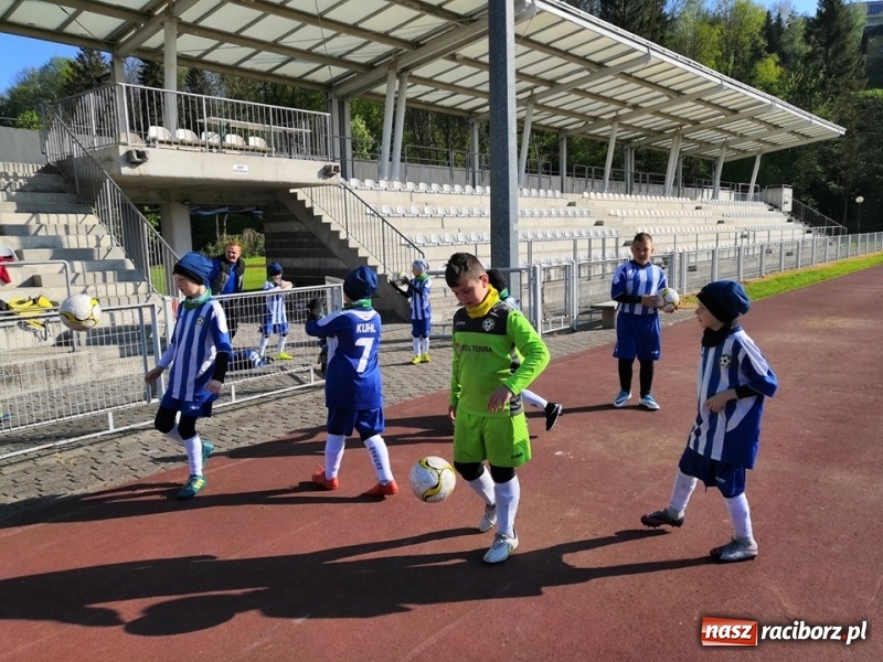 Zdjęcie w galerii na portalu naszraciborz.pl: Czwarte miejsce żaków Tworkowa na turnieju w Wiśle [FOTO] wiadomości z regionu