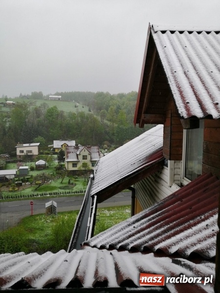 Zdjęcie w galerii na portalu naszraciborz.pl: Czwarte miejsce żaków Tworkowa na turnieju w Wiśle [FOTO] wiadomości z regionu