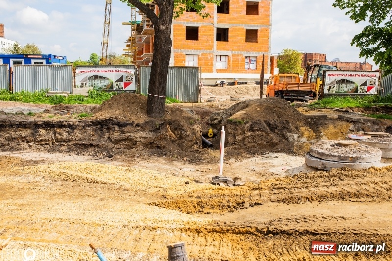 Zdjęcie w galerii na portalu naszraciborz.pl: Starosta chce kłaść jeden dywanik [WIDEO]  wiadomości z regionu