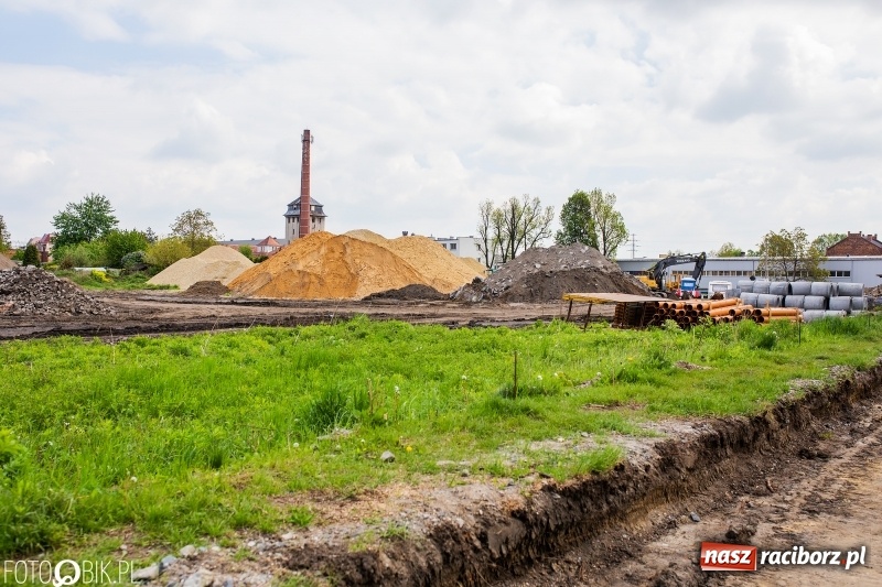 Zdjęcie w galerii na portalu naszraciborz.pl: Starosta chce kłaść jeden dywanik [WIDEO]  wiadomości z regionu