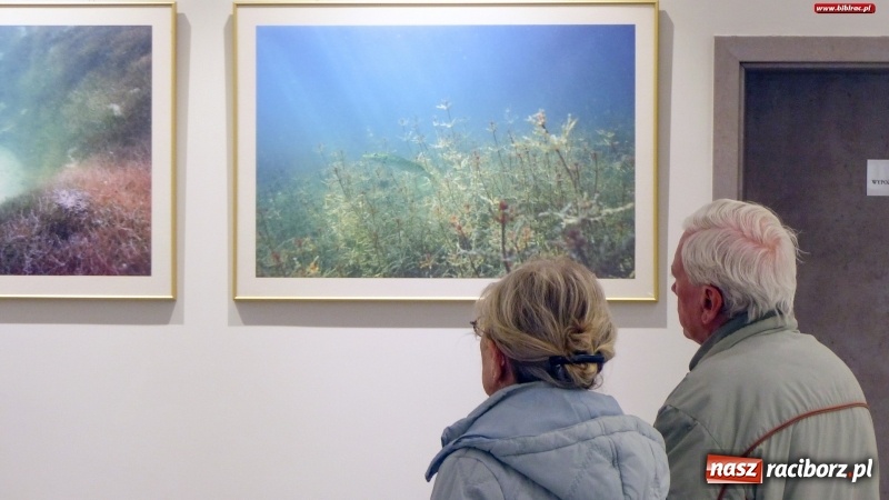 Zdjęcie w galerii na portalu naszraciborz.pl: W raciborskiej bibliotece zobaczysz podwodny świat polskich jezior wiadomości z regionu