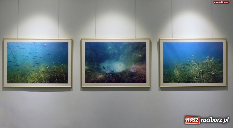 Zdjęcie w galerii na portalu naszraciborz.pl: W raciborskiej bibliotece zobaczysz podwodny świat polskich jezior wiadomości z regionu