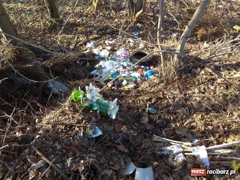 Zdjęcie w galerii na portalu naszraciborz.pl: Współpraca gwarancją sukcesu. Eko akcje w Kuźni Raciborskiej wiadomości z regionu