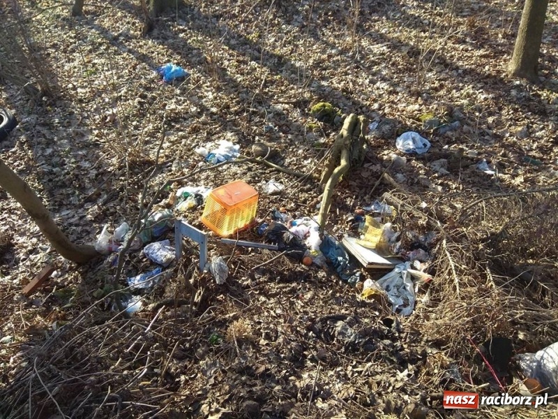 Zdjęcie w galerii na portalu naszraciborz.pl: Współpraca gwarancją sukcesu. Eko akcje w Kuźni Raciborskiej wiadomości z regionu