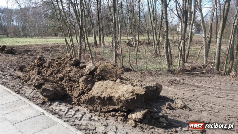 Zdjęcie w galerii na portalu naszraciborz.pl: Współpraca gwarancją sukcesu. Eko akcje w Kuźni Raciborskiej wiadomości z regionu