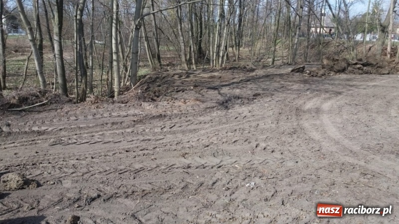 Zdjęcie w galerii na portalu naszraciborz.pl: Współpraca gwarancją sukcesu. Eko akcje w Kuźni Raciborskiej wiadomości z regionu