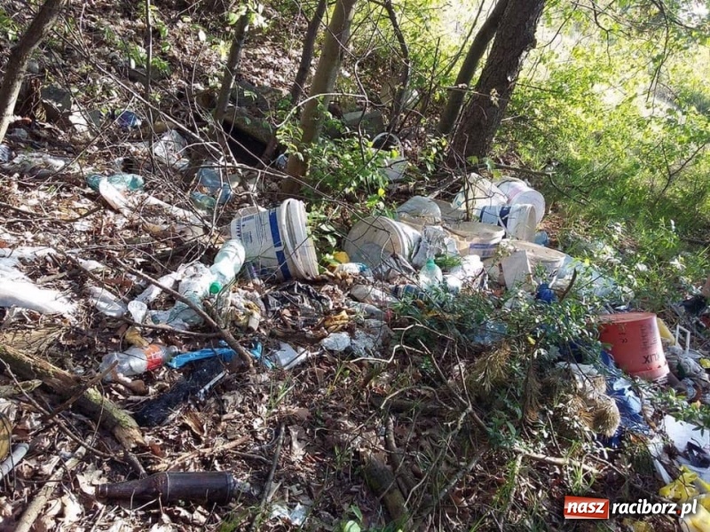 Zdjęcie w galerii na portalu naszraciborz.pl: Współpraca gwarancją sukcesu. Eko akcje w Kuźni Raciborskiej wiadomości z regionu