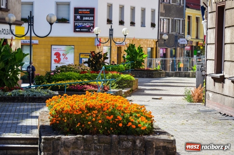 Zdjęcie w galerii na portalu naszraciborz.pl: Tak wyglądała ulica Długa przed remontem [FOTO] wiadomości z regionu