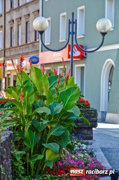 Zdjęcie w galerii na portalu naszraciborz.pl: Tak wyglądała ulica Długa przed remontem [FOTO] wiadomości z regionu