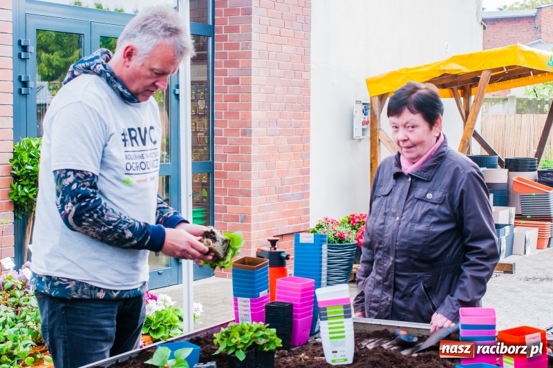 Zdjęcie w galerii na portalu naszraciborz.pl: Czego jeszcze nie wiesz o ogrodzie? Rodzinne Warsztaty Ogrodnicze z Witoldem Czuksanowem w AgroMarkecie wiadomości z regionu