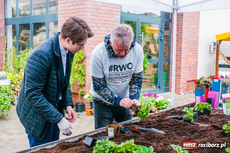 Zdjęcie w galerii na portalu naszraciborz.pl: Czego jeszcze nie wiesz o ogrodzie? Rodzinne Warsztaty Ogrodnicze z Witoldem Czuksanowem w AgroMarkecie wiadomości z regionu