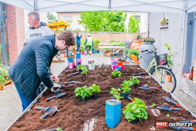 Zdjęcie w galerii na portalu naszraciborz.pl: Czego jeszcze nie wiesz o ogrodzie? Rodzinne Warsztaty Ogrodnicze z Witoldem Czuksanowem w AgroMarkecie wiadomości z regionu
