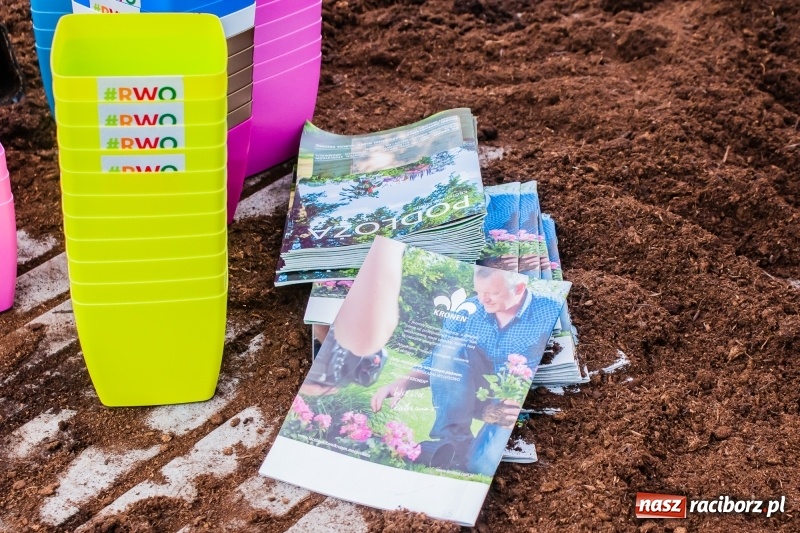 Zdjęcie w galerii na portalu naszraciborz.pl: Czego jeszcze nie wiesz o ogrodzie? Rodzinne Warsztaty Ogrodnicze z Witoldem Czuksanowem w AgroMarkecie wiadomości z regionu