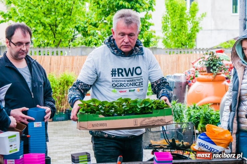Zdjęcie w galerii na portalu naszraciborz.pl: Czego jeszcze nie wiesz o ogrodzie? Rodzinne Warsztaty Ogrodnicze z Witoldem Czuksanowem w AgroMarkecie wiadomości z regionu