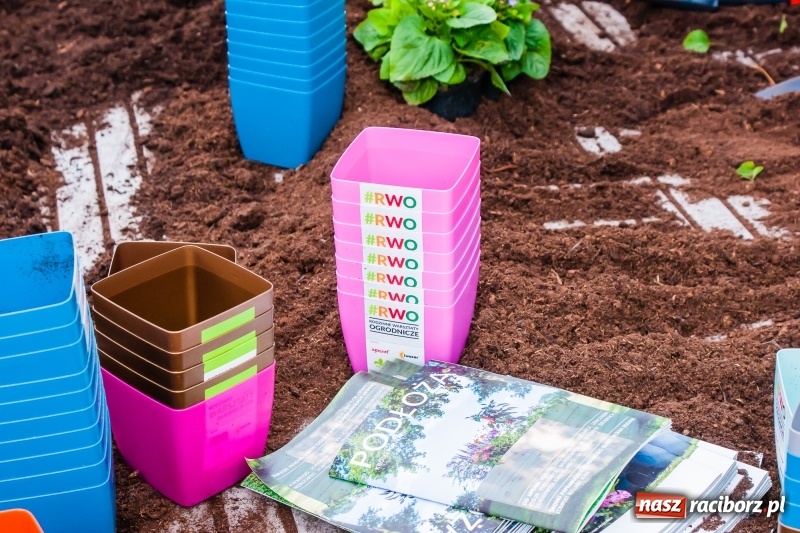 Zdjęcie w galerii na portalu naszraciborz.pl: Czego jeszcze nie wiesz o ogrodzie? Rodzinne Warsztaty Ogrodnicze z Witoldem Czuksanowem w AgroMarkecie wiadomości z regionu