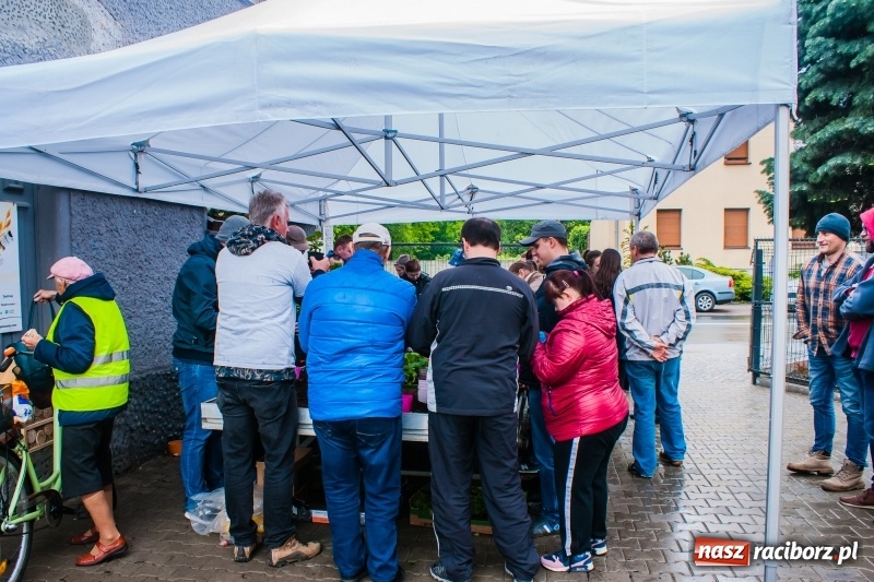 Zdjęcie w galerii na portalu naszraciborz.pl: Czego jeszcze nie wiesz o ogrodzie? Rodzinne Warsztaty Ogrodnicze z Witoldem Czuksanowem w AgroMarkecie wiadomości z regionu