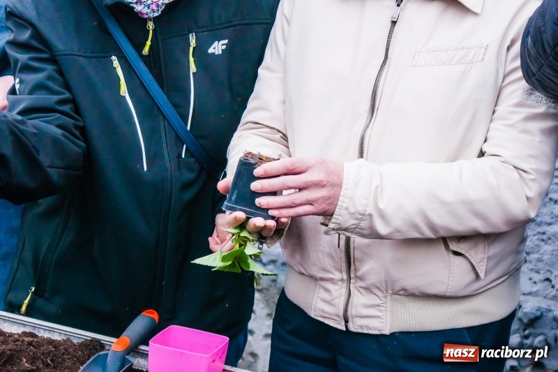 Zdjęcie w galerii na portalu naszraciborz.pl: Czego jeszcze nie wiesz o ogrodzie? Rodzinne Warsztaty Ogrodnicze z Witoldem Czuksanowem w AgroMarkecie wiadomości z regionu