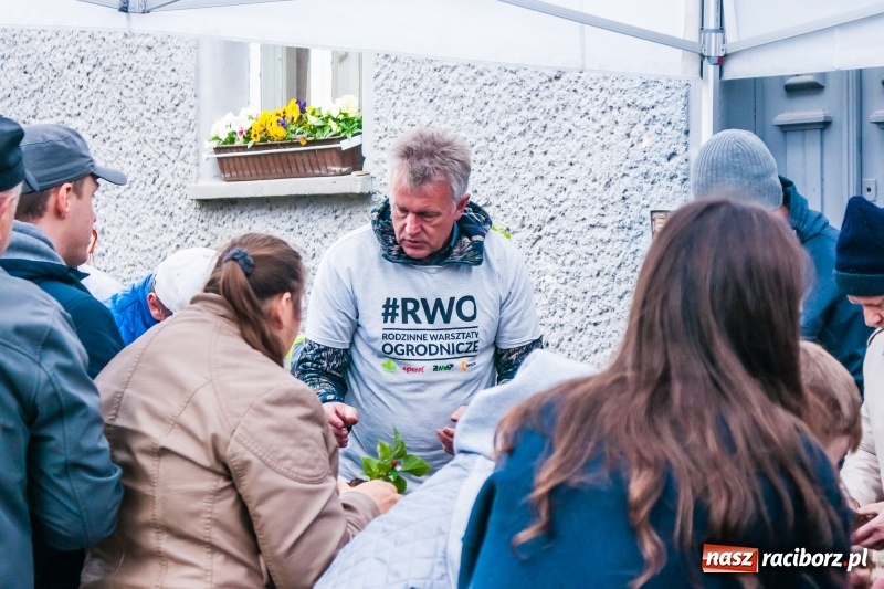 Zdjęcie w galerii na portalu naszraciborz.pl: Czego jeszcze nie wiesz o ogrodzie? Rodzinne Warsztaty Ogrodnicze z Witoldem Czuksanowem w AgroMarkecie wiadomości z regionu