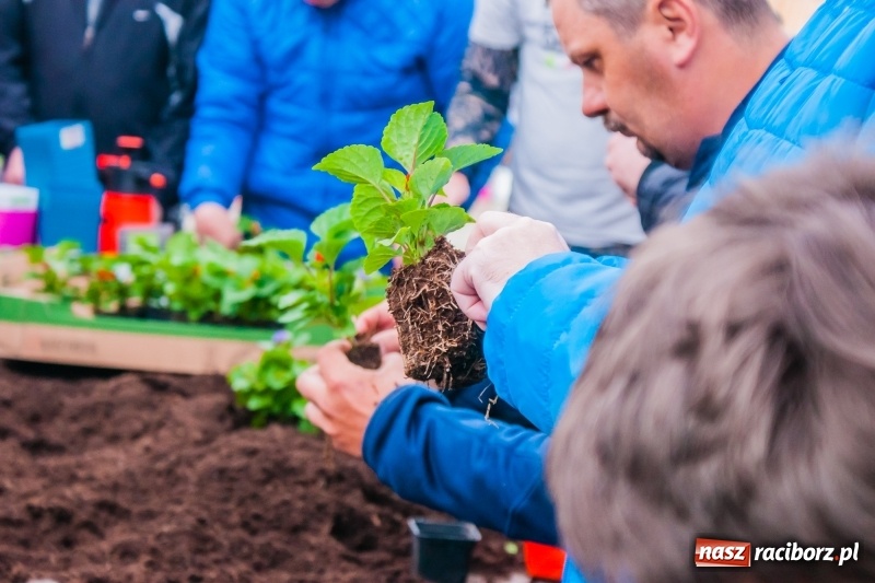 Zdjęcie w galerii na portalu naszraciborz.pl: Czego jeszcze nie wiesz o ogrodzie? Rodzinne Warsztaty Ogrodnicze z Witoldem Czuksanowem w AgroMarkecie wiadomości z regionu