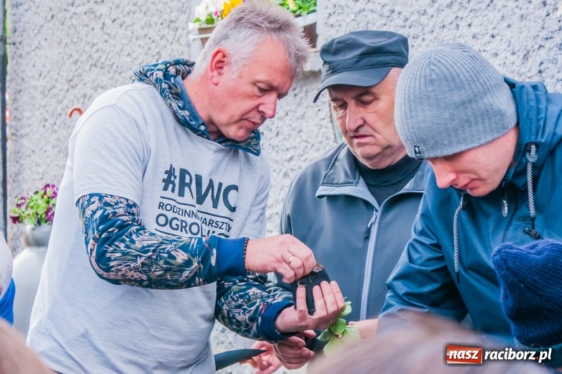 Zdjęcie w galerii na portalu naszraciborz.pl: Czego jeszcze nie wiesz o ogrodzie? Rodzinne Warsztaty Ogrodnicze z Witoldem Czuksanowem w AgroMarkecie wiadomości z regionu