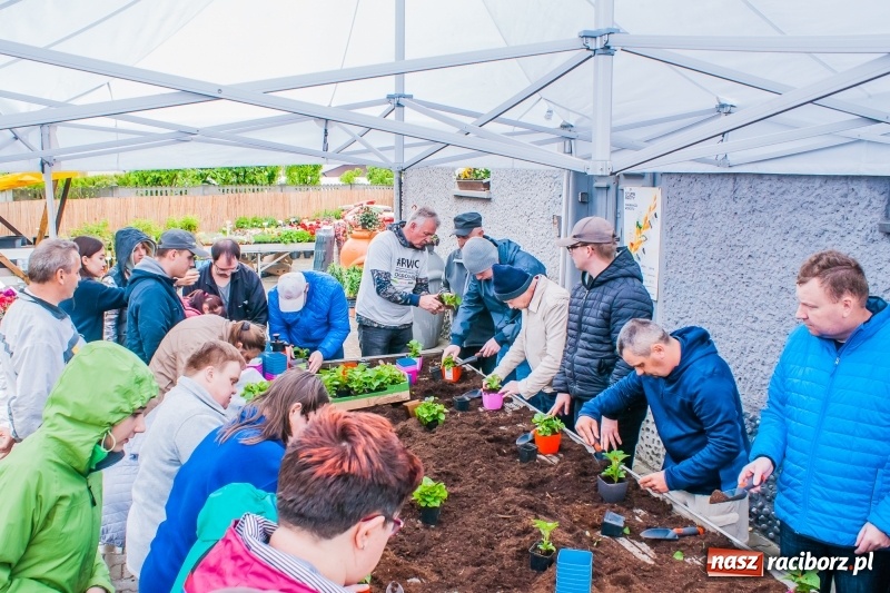 Zdjęcie w galerii na portalu naszraciborz.pl: Czego jeszcze nie wiesz o ogrodzie? Rodzinne Warsztaty Ogrodnicze z Witoldem Czuksanowem w AgroMarkecie wiadomości z regionu