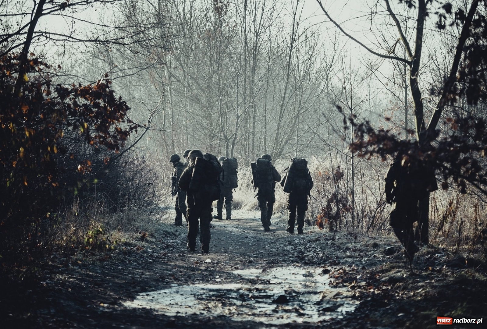 Zdjęcie w galerii na portalu naszraciborz.pl: Czarna i zielona taktyka. Tak ćwiczą śląscy terytorialsi wiadomości z regionu